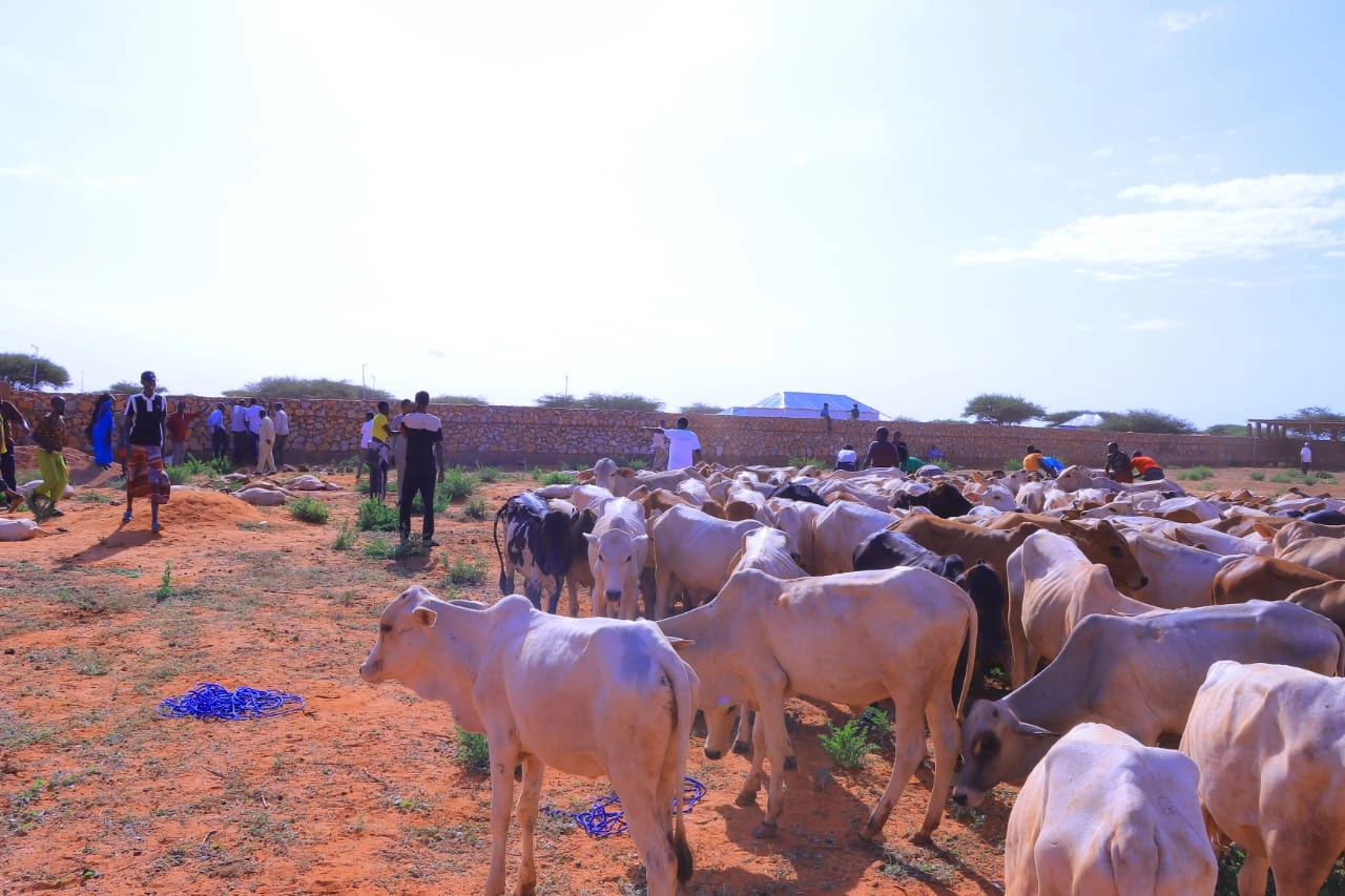 Qurban images Image 25